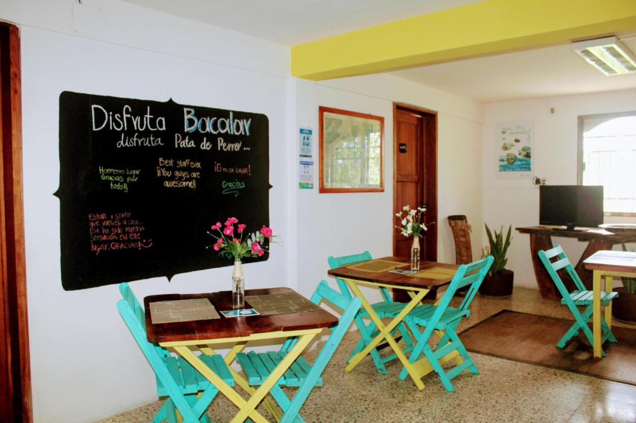 Hostal & Suites Pata De Perro Bacalar Εξωτερικό φωτογραφία