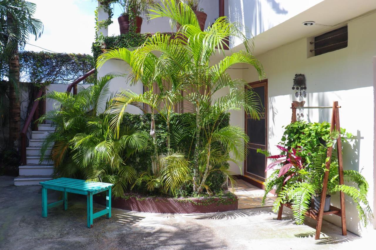 Hostal & Suites Pata De Perro Bacalar Εξωτερικό φωτογραφία