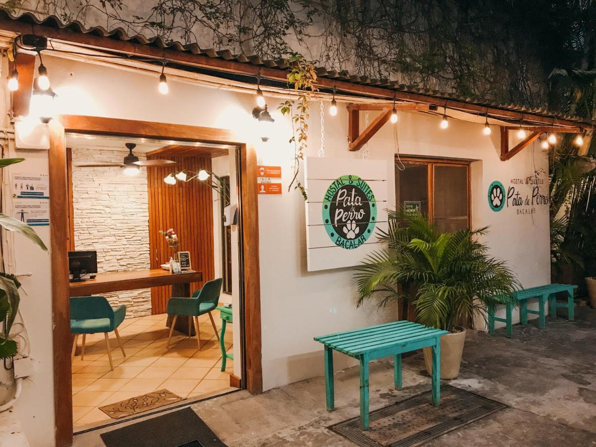 Hostal & Suites Pata De Perro Bacalar Εξωτερικό φωτογραφία