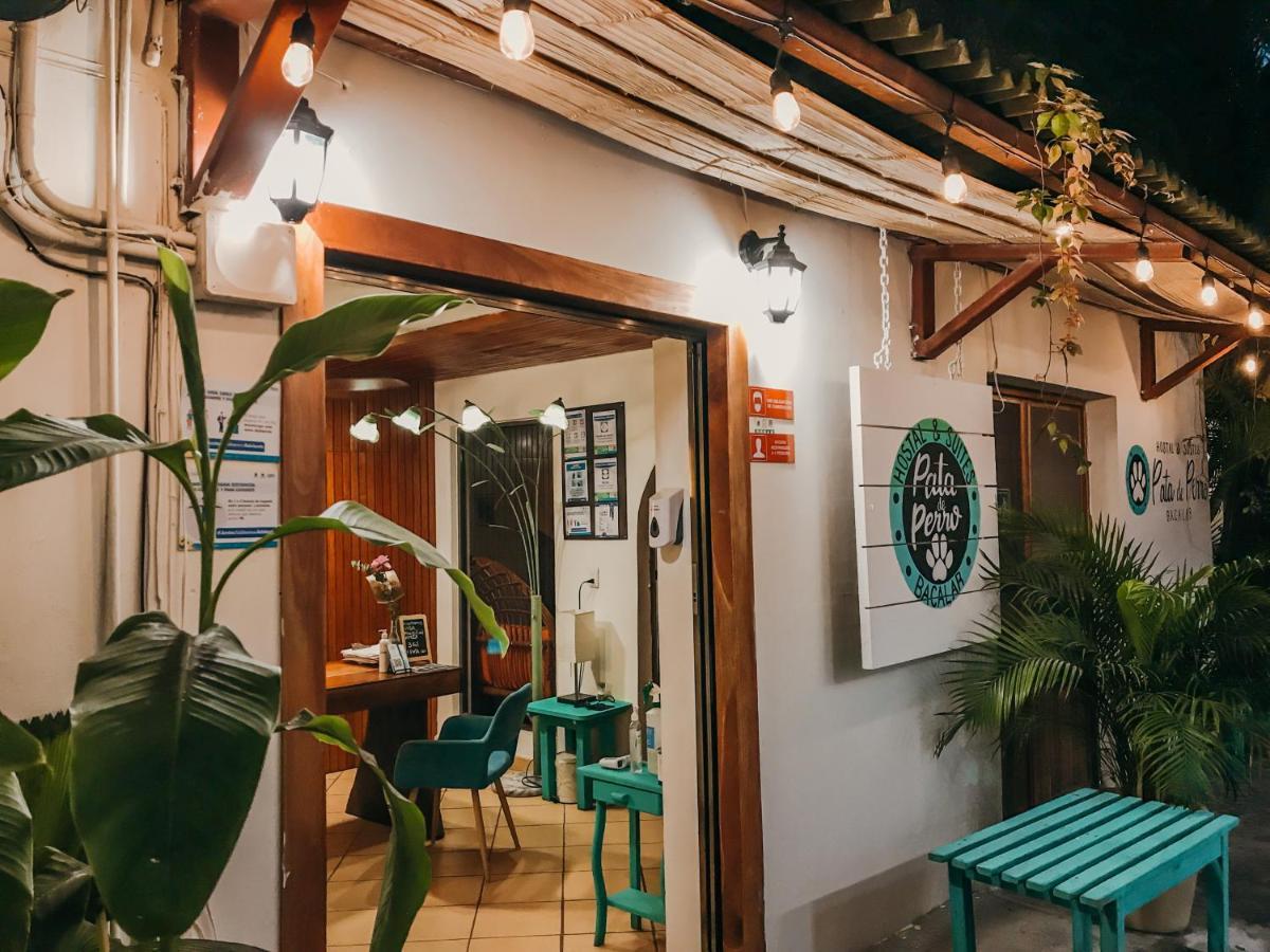 Hostal & Suites Pata De Perro Bacalar Εξωτερικό φωτογραφία